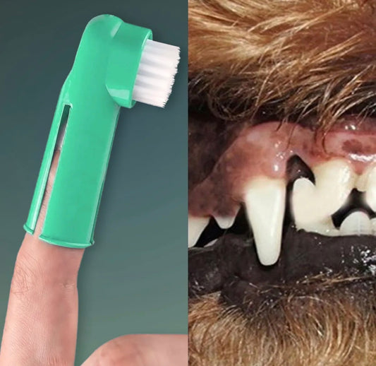 Par de cepillos de dientes dedal