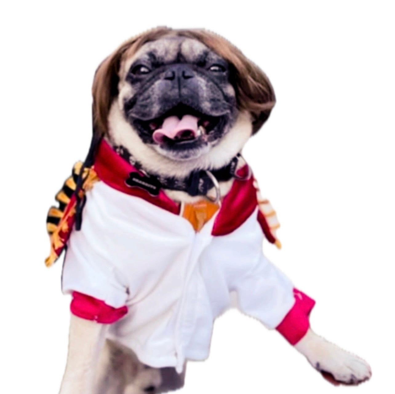 Disfraz de príncipe