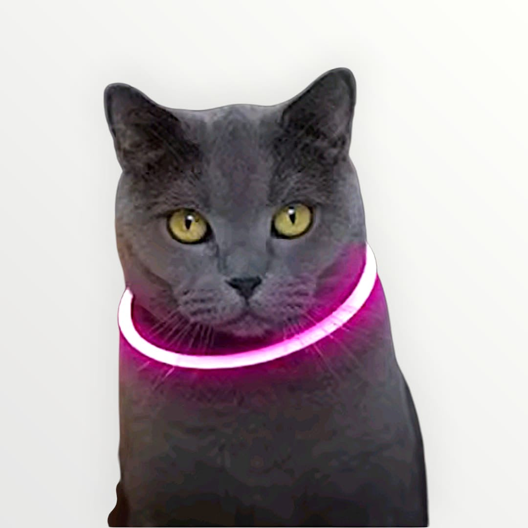 Collar luz led recargable