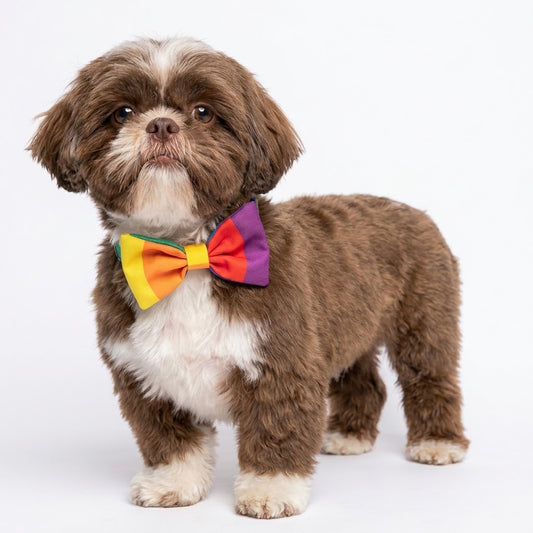 Collar con moño PRIDE