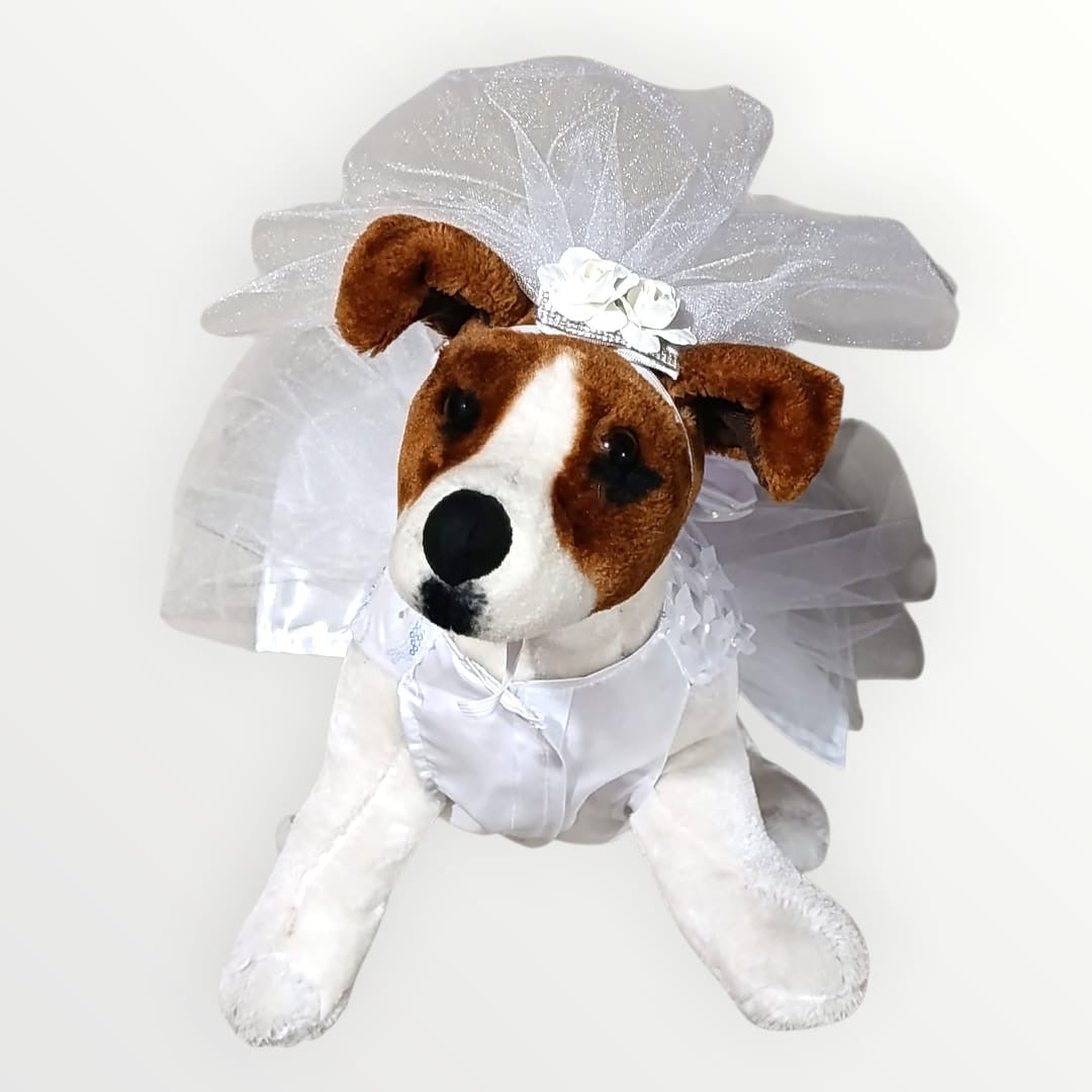 Vestido de novia para mascota