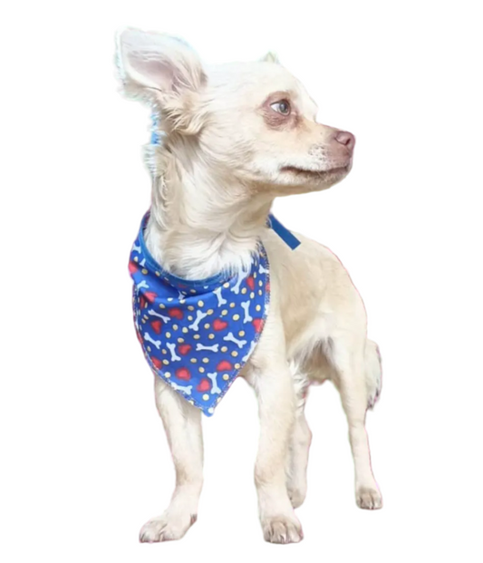 Paquete de paliacates para veterinarias