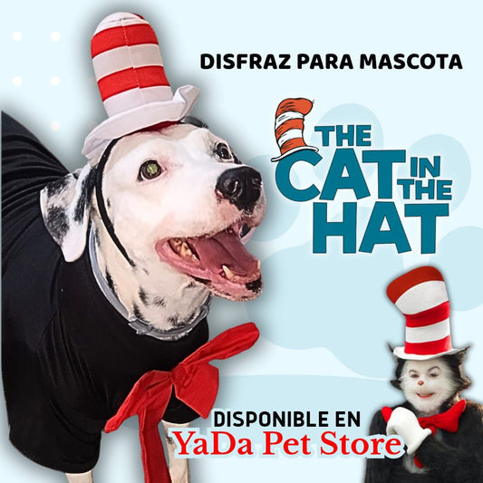 Disfraz cat in the hat para mascota