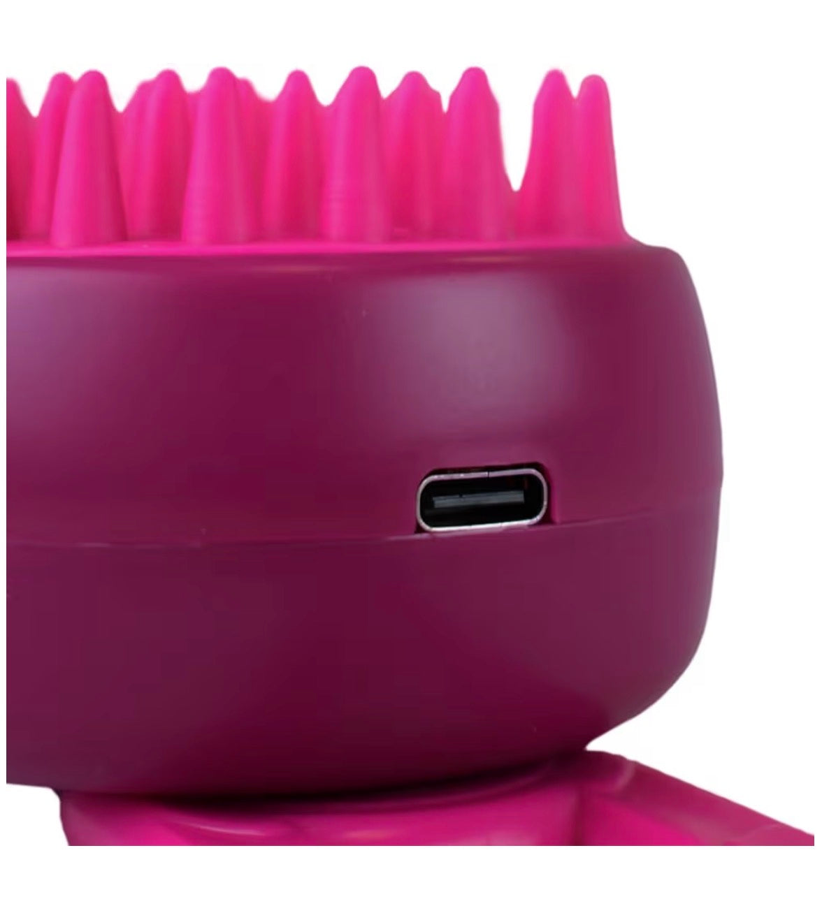 Cepillo de vapor para perro y gato