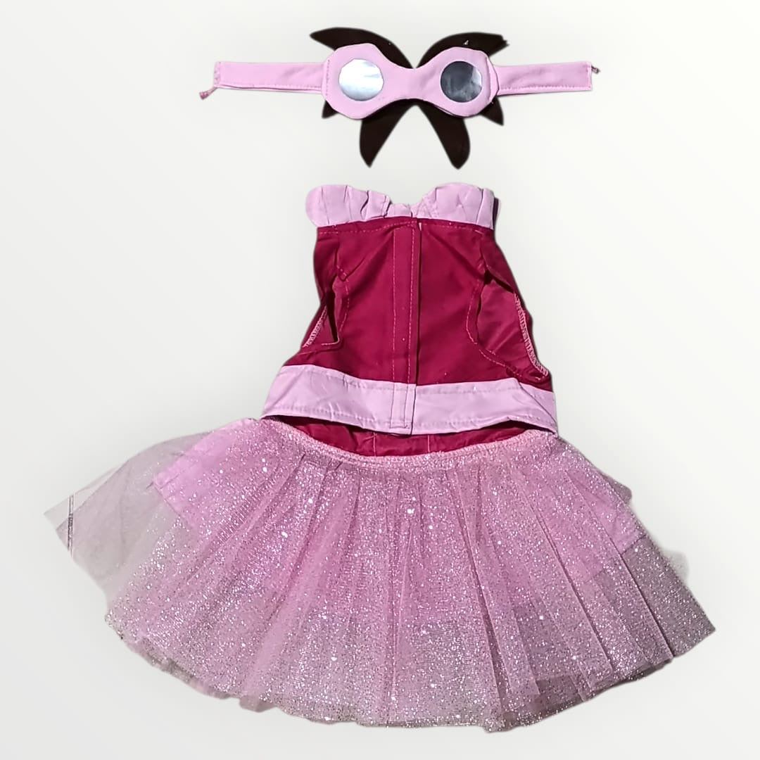 Disfraz de Skye Paw Patrol