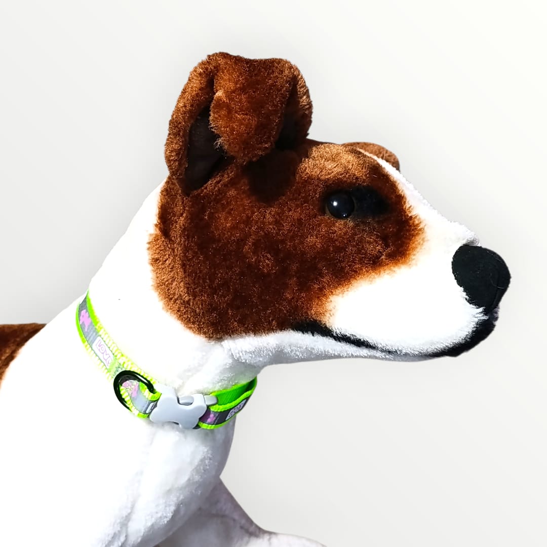 Collar reflejante para razas medianas