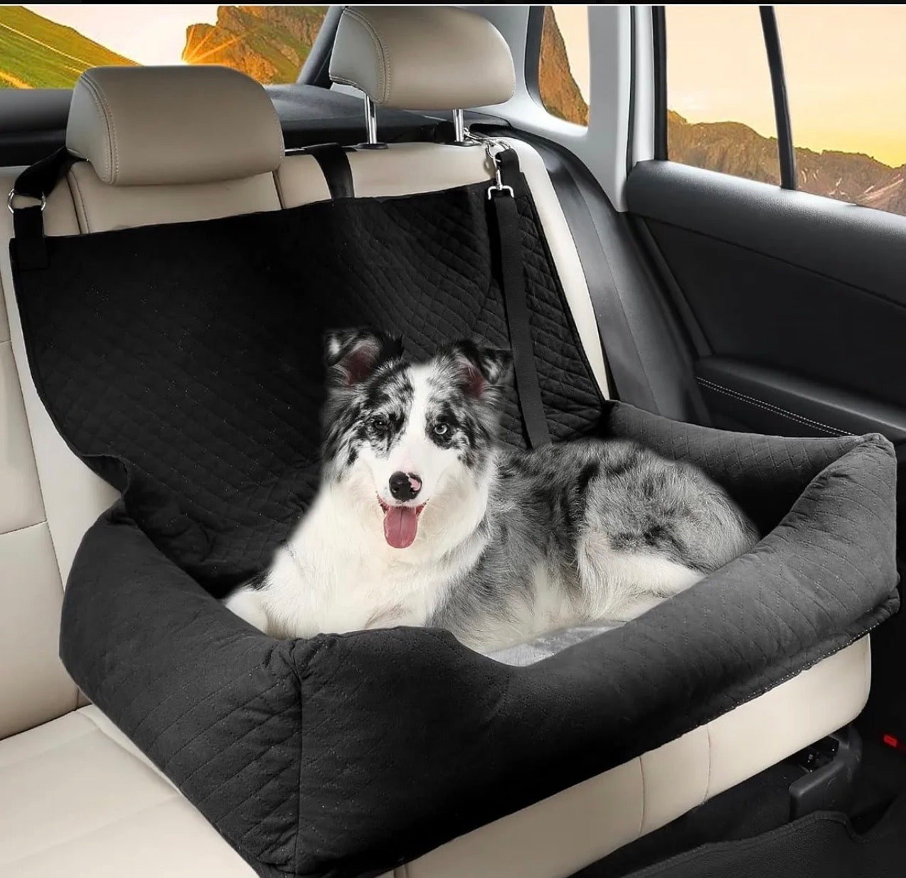 Car Seat grande 2 en 1