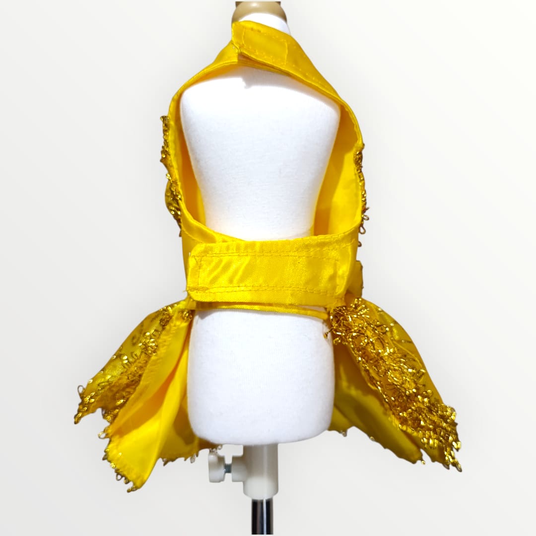 Disfraz princesa Bella