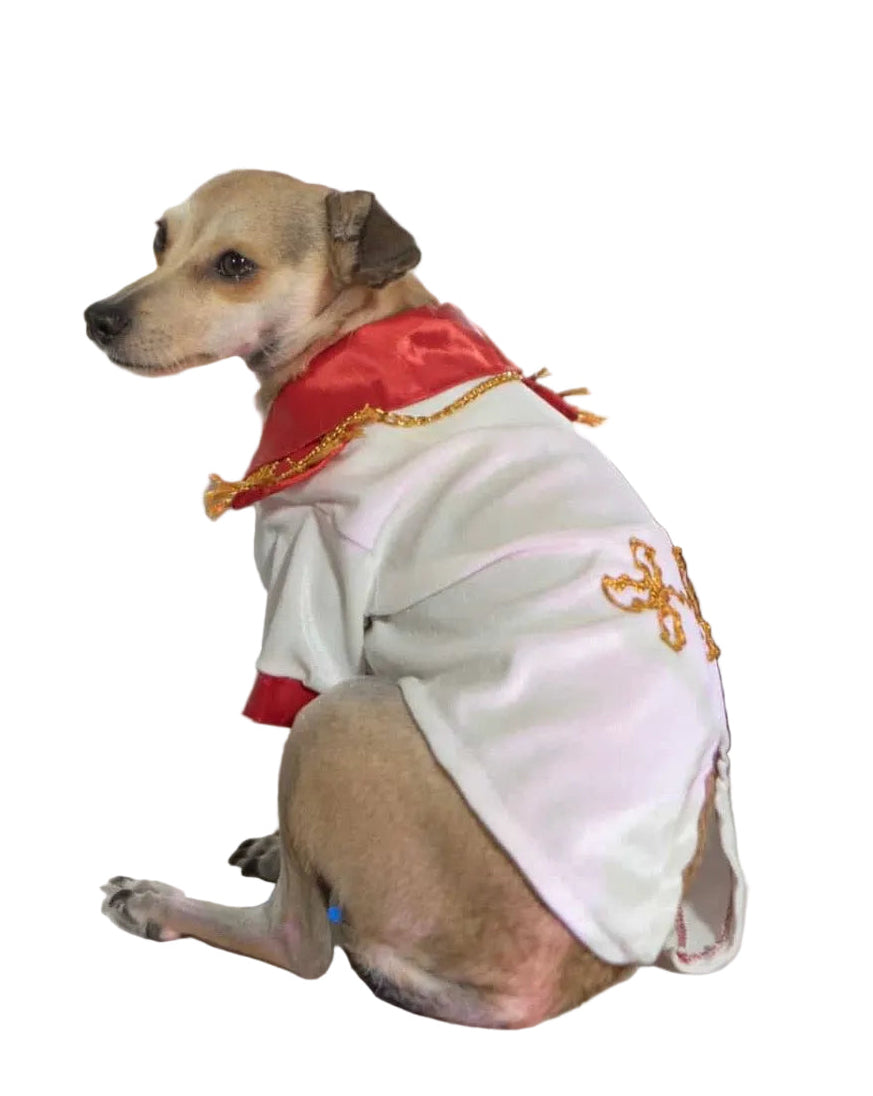 Disfraz de príncipe