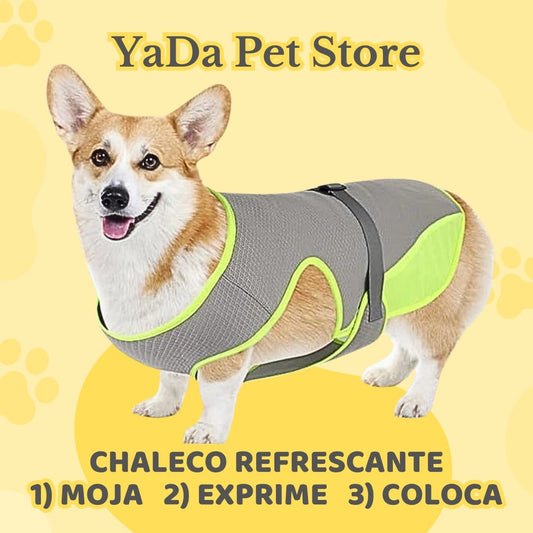 Chaleco refrescante para perro