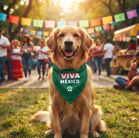 Bandana Viva México