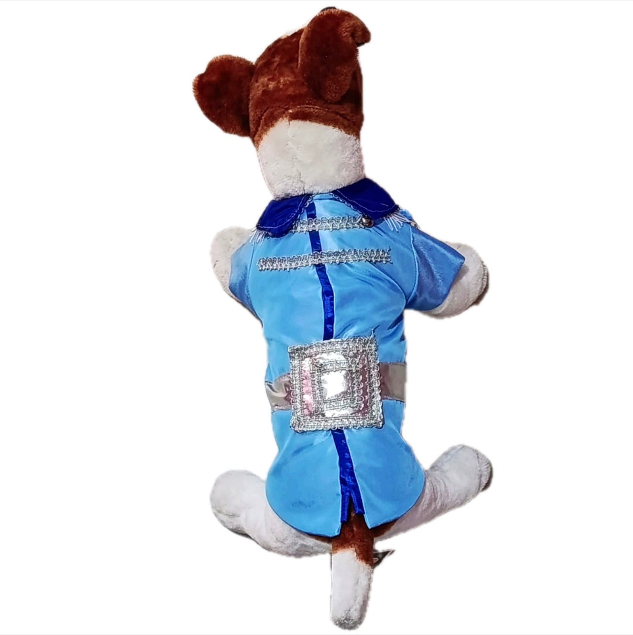 Disfraz de príncipe azul