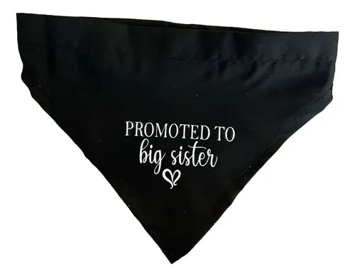 Paliacate Promoted to BIG SISTER