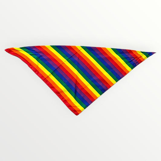 Bandana PRIDE para perro grande