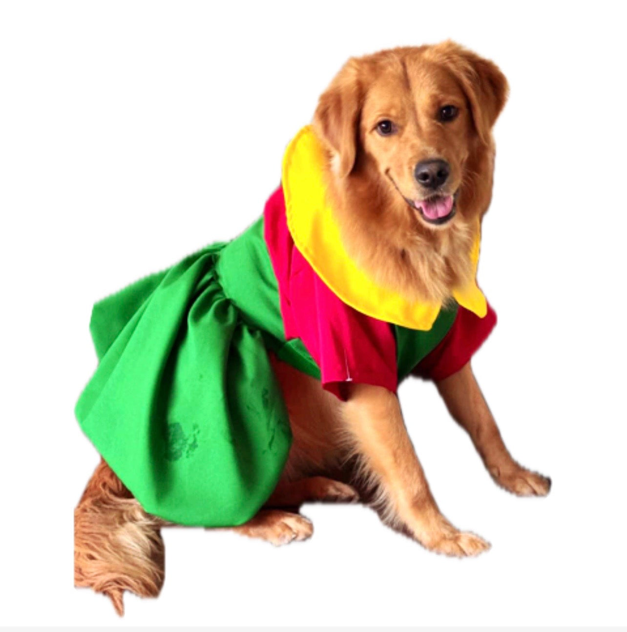 Disfraz de chilindrina