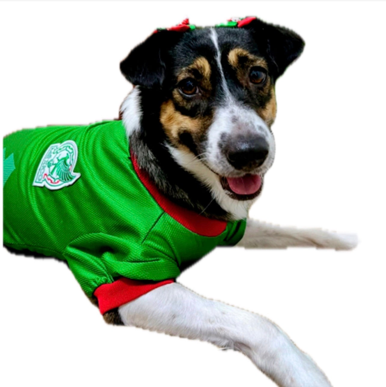 Jersey Selección Mexicana