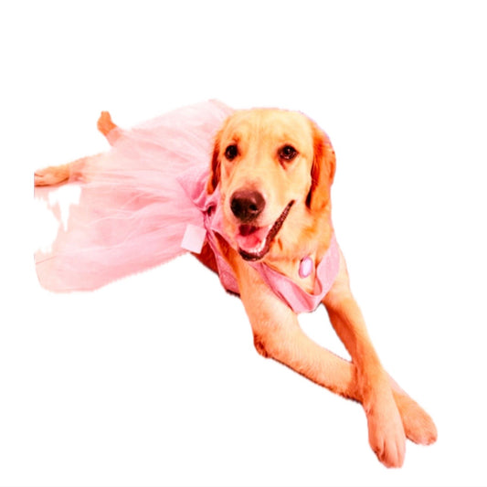 Vestido palo de rosa glitter