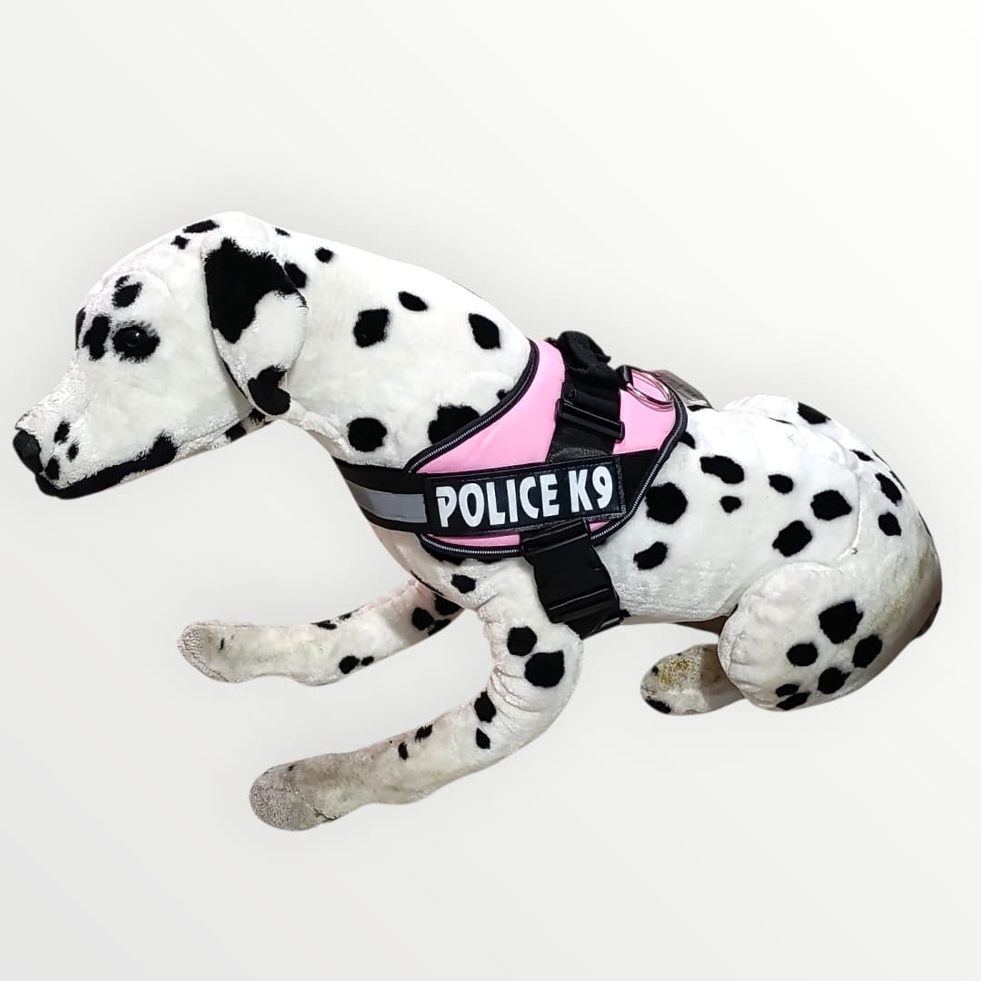Pechera Police K9