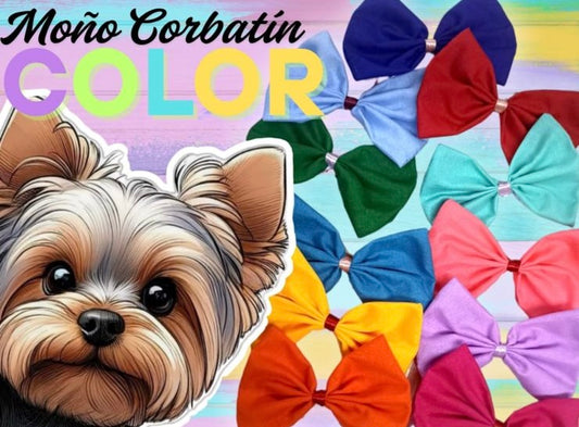 Paquete de moño para cuello veterinarias