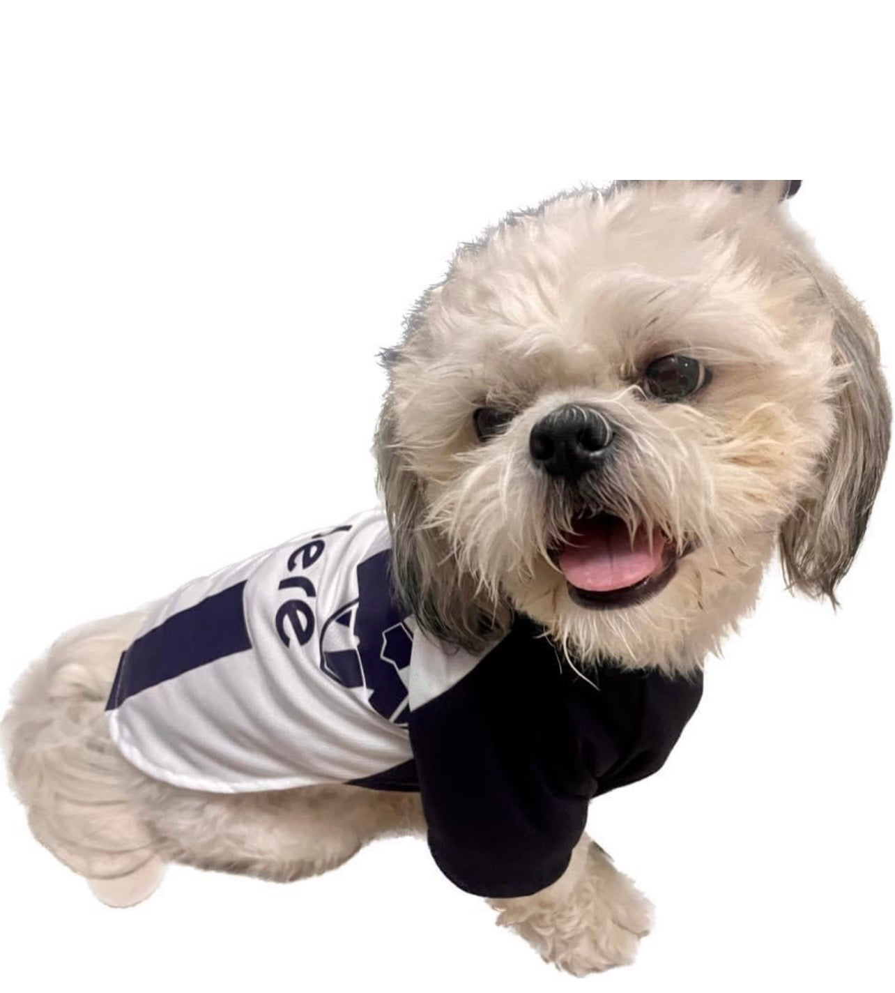 Jersey de Rayados diseño Codere