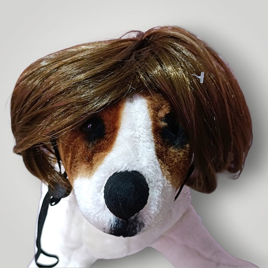 Peluca para mascota