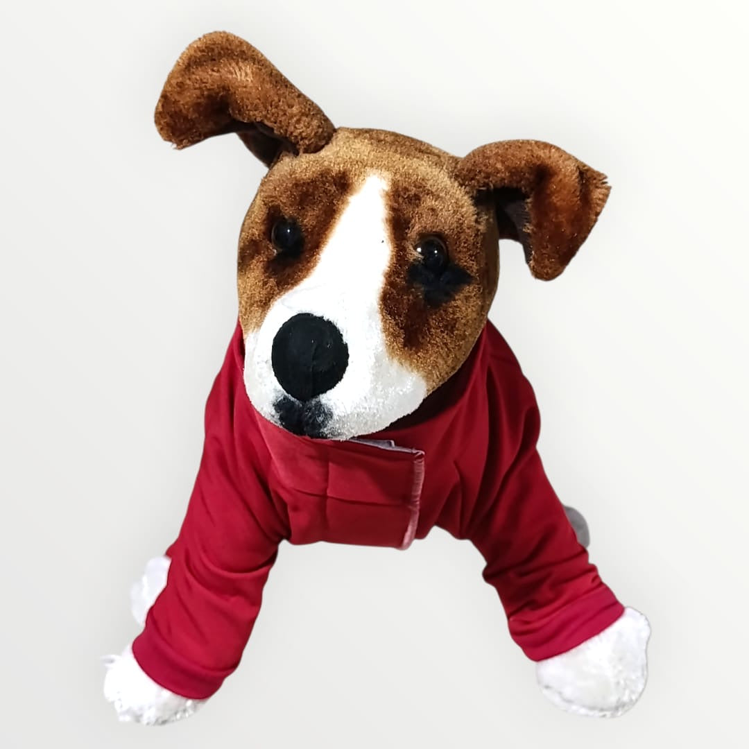 Pijama para cuello alto Xoloitzcuintle