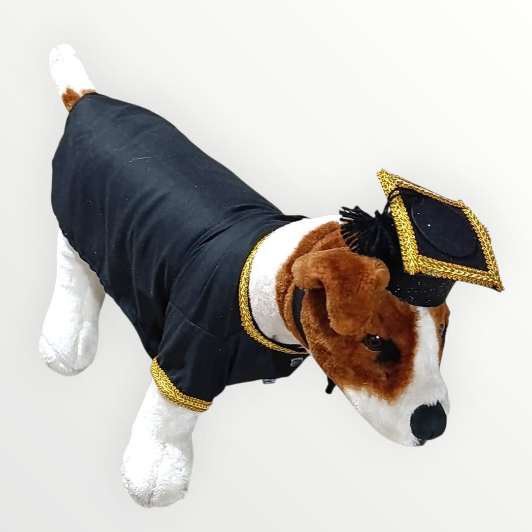 Toga y birrete para mascota