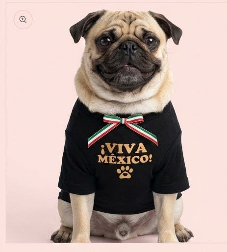 Camiseta Viva México Deluxe