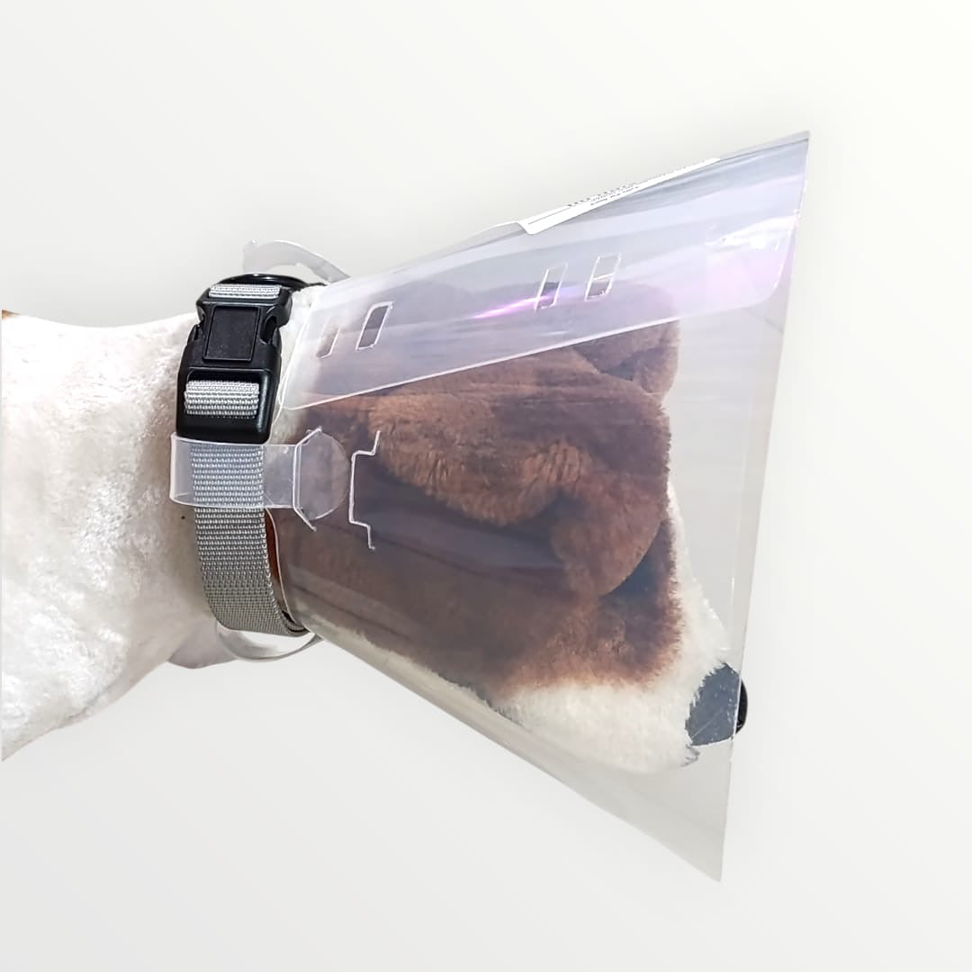 Cono isabelino para collar