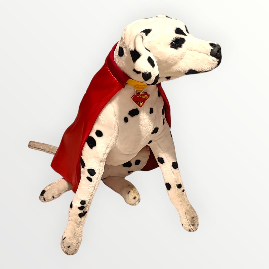 Disfraz capa de krypto superman