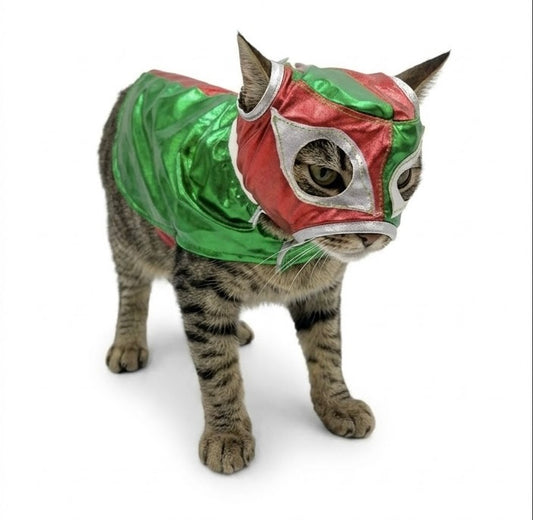 Disfraz Luchador mexicano