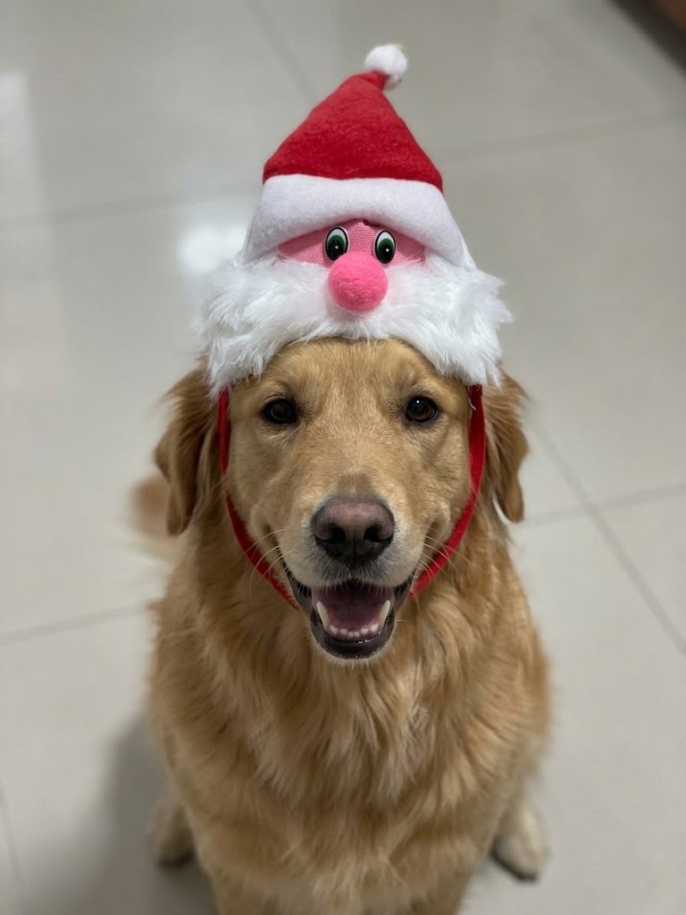 Gorra Santa Claus