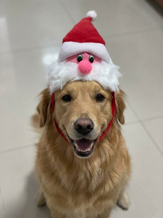 Gorra Santa Claus