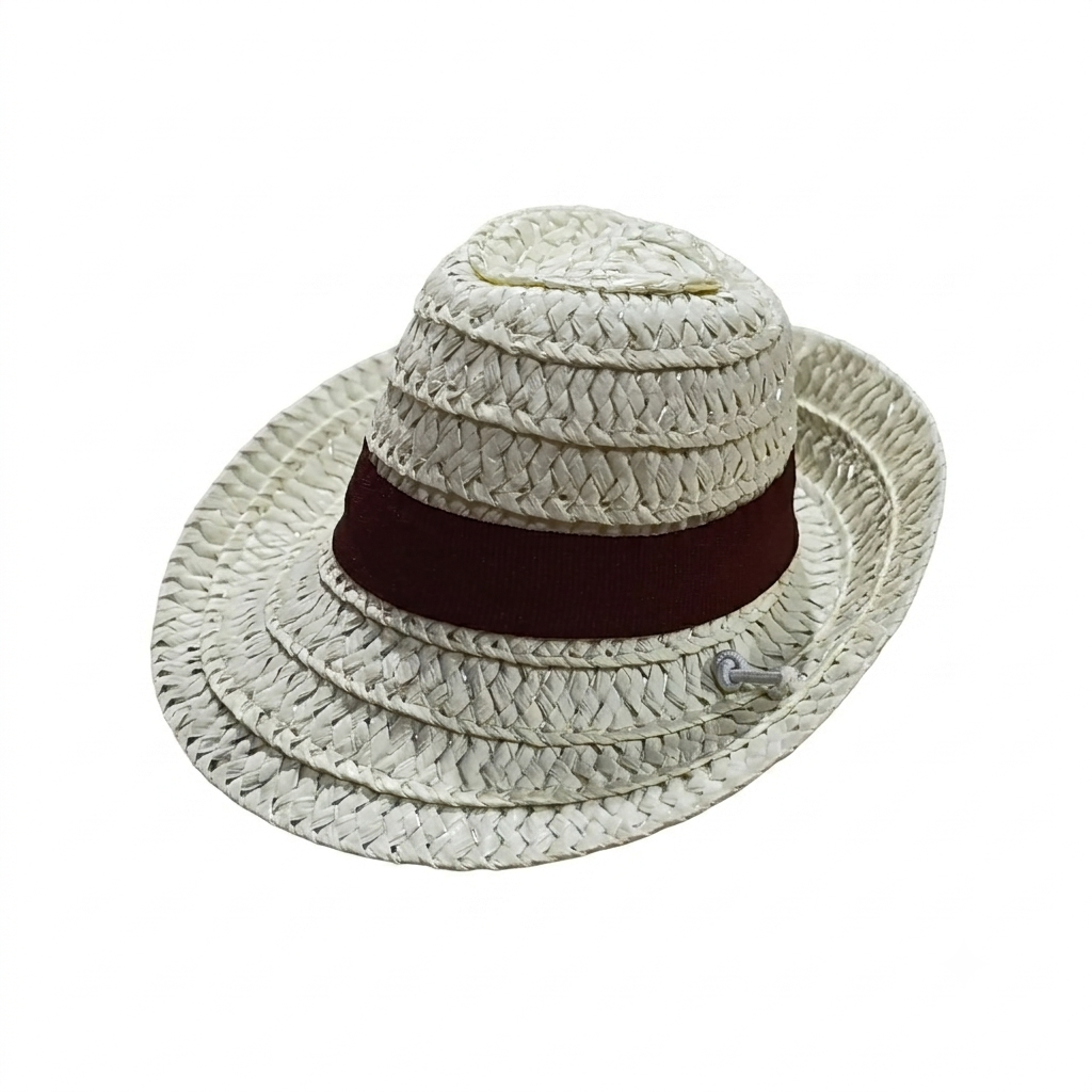 Sombrero norteño chico