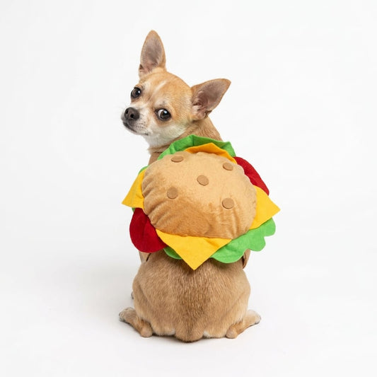 Disfraz de hamburguesa