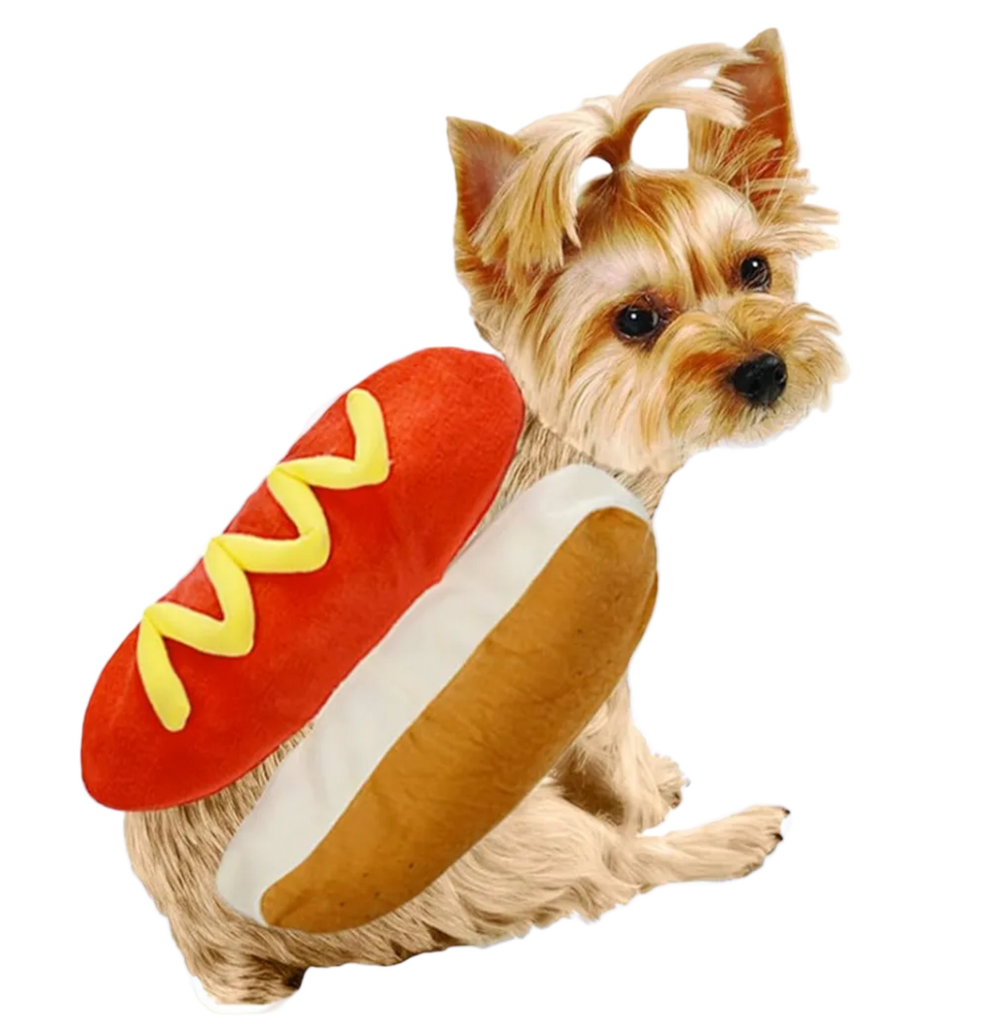 Disfraz de Hot Dog