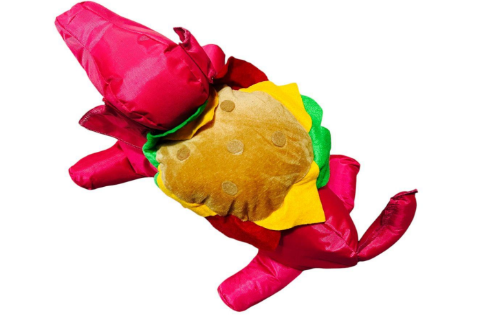 Disfraz de hamburguesa