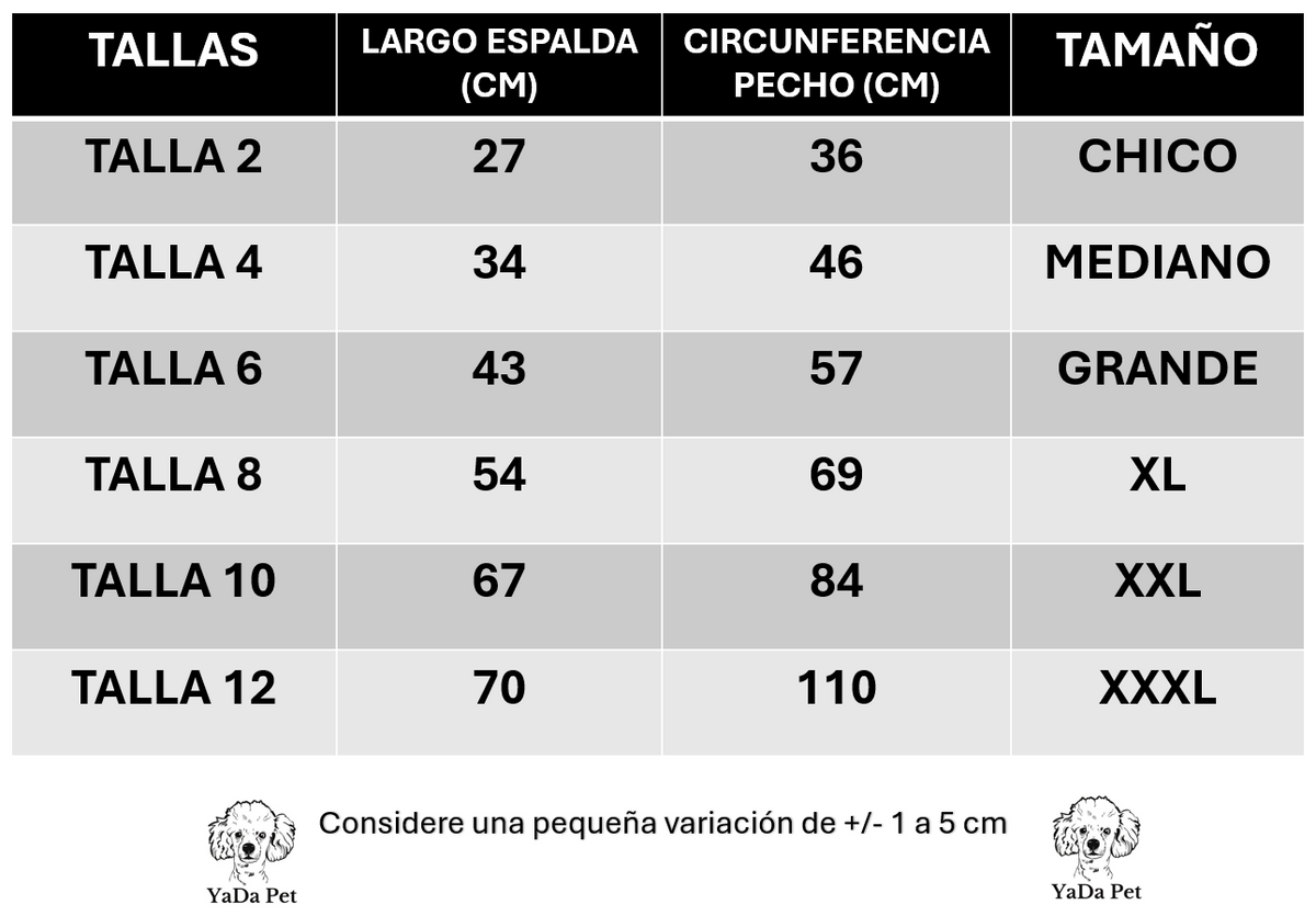 Disfraz de Bingo