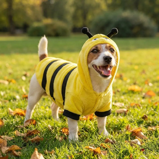 Suéter de abeja primavera