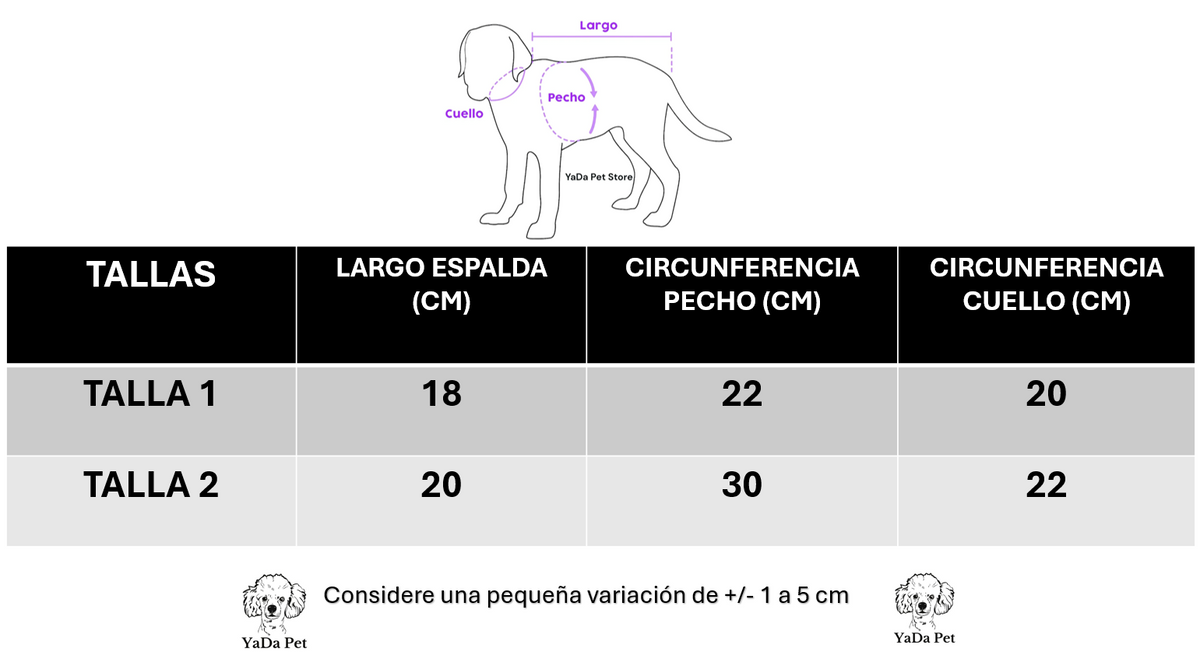 Disfraz de Brujita para Raza Chica y Mini