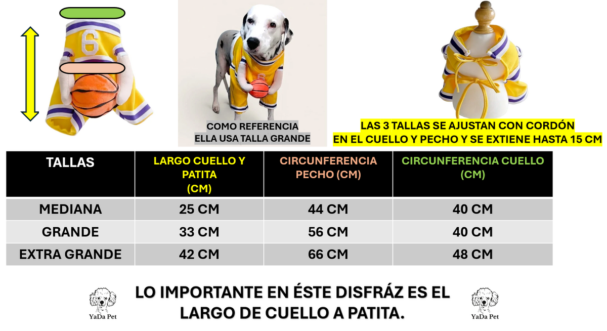 Disfraz de Basquetbolista
