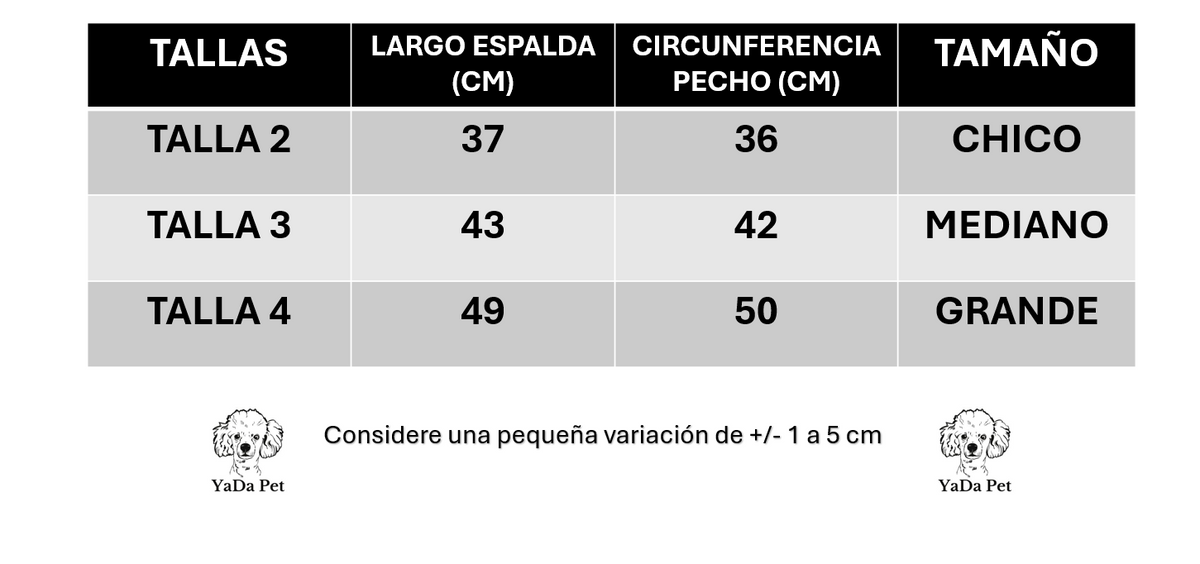 Disfraz de bruja
