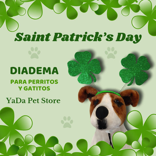 Diadema Saint Patricks Day