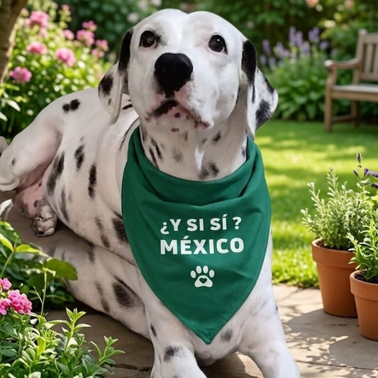 Bandana y si si? México