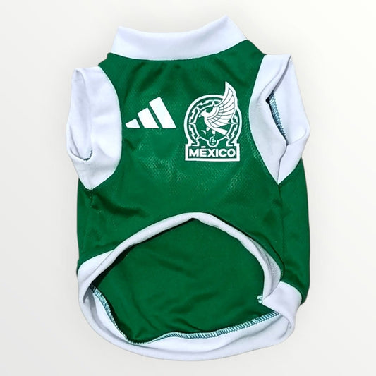 Jersey verde Mundial 2026