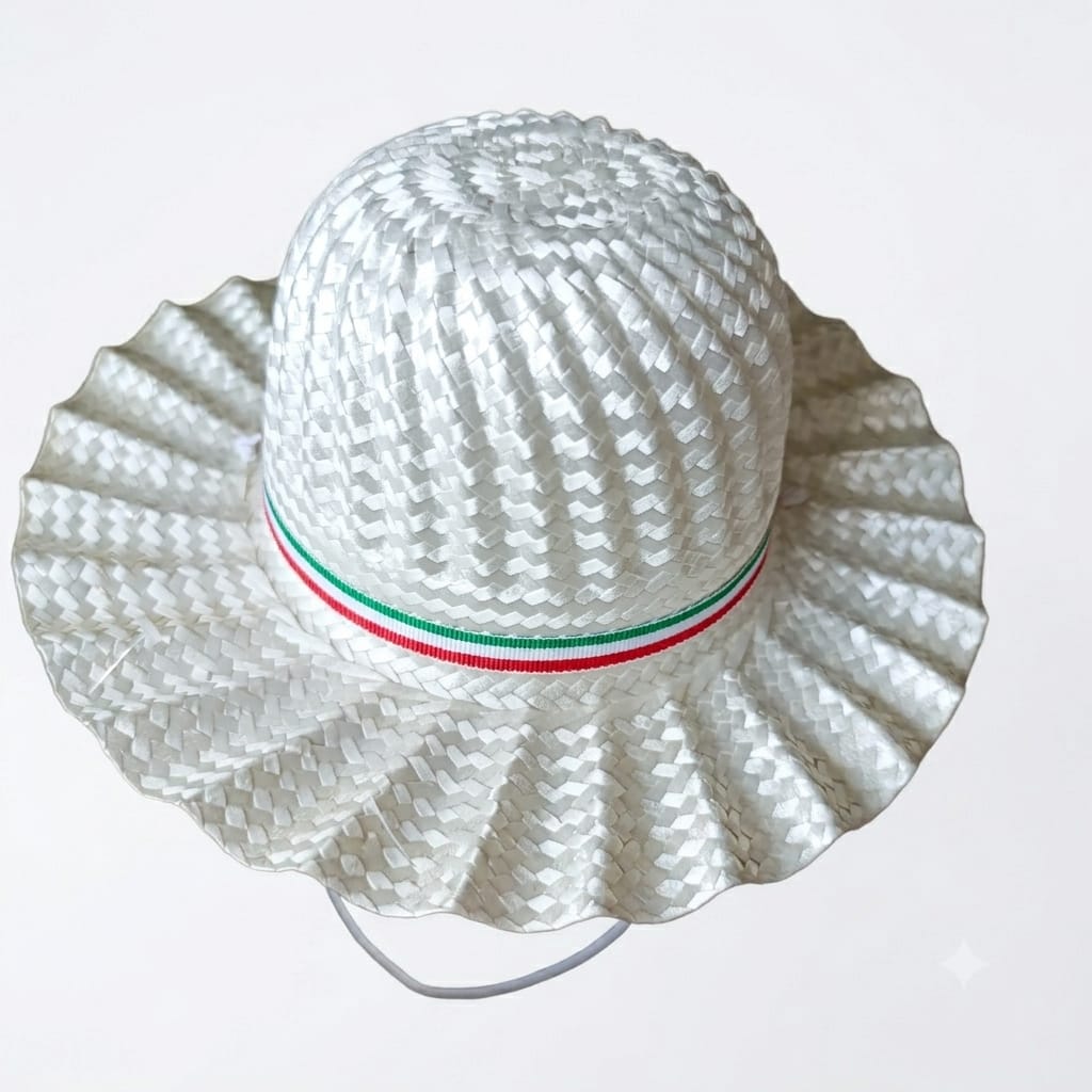 Sombrero mexicano grande
