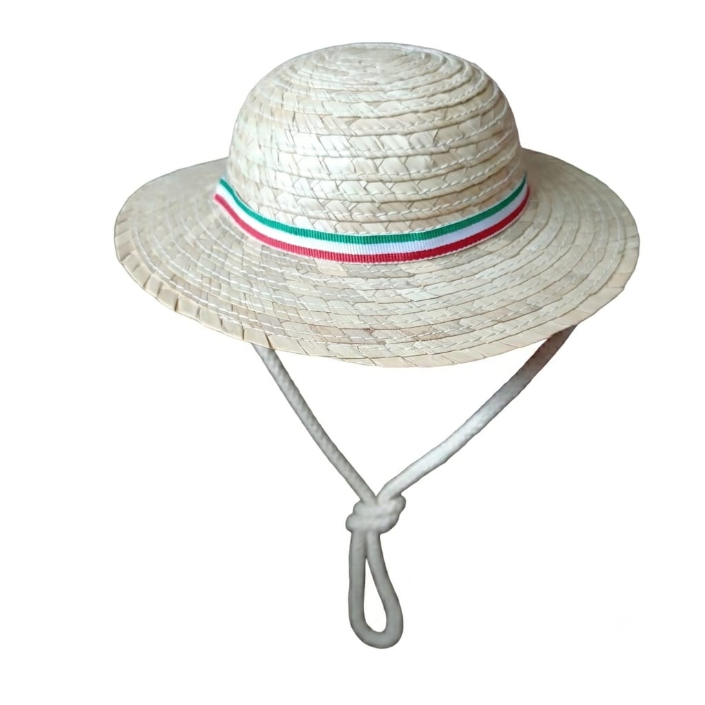 Sombrero mexicano grande