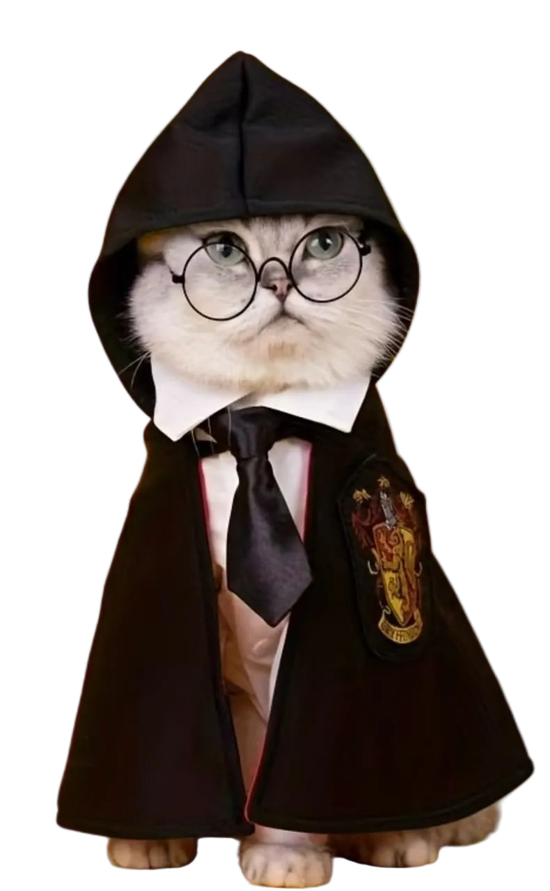 Disfraz de Harry Potter