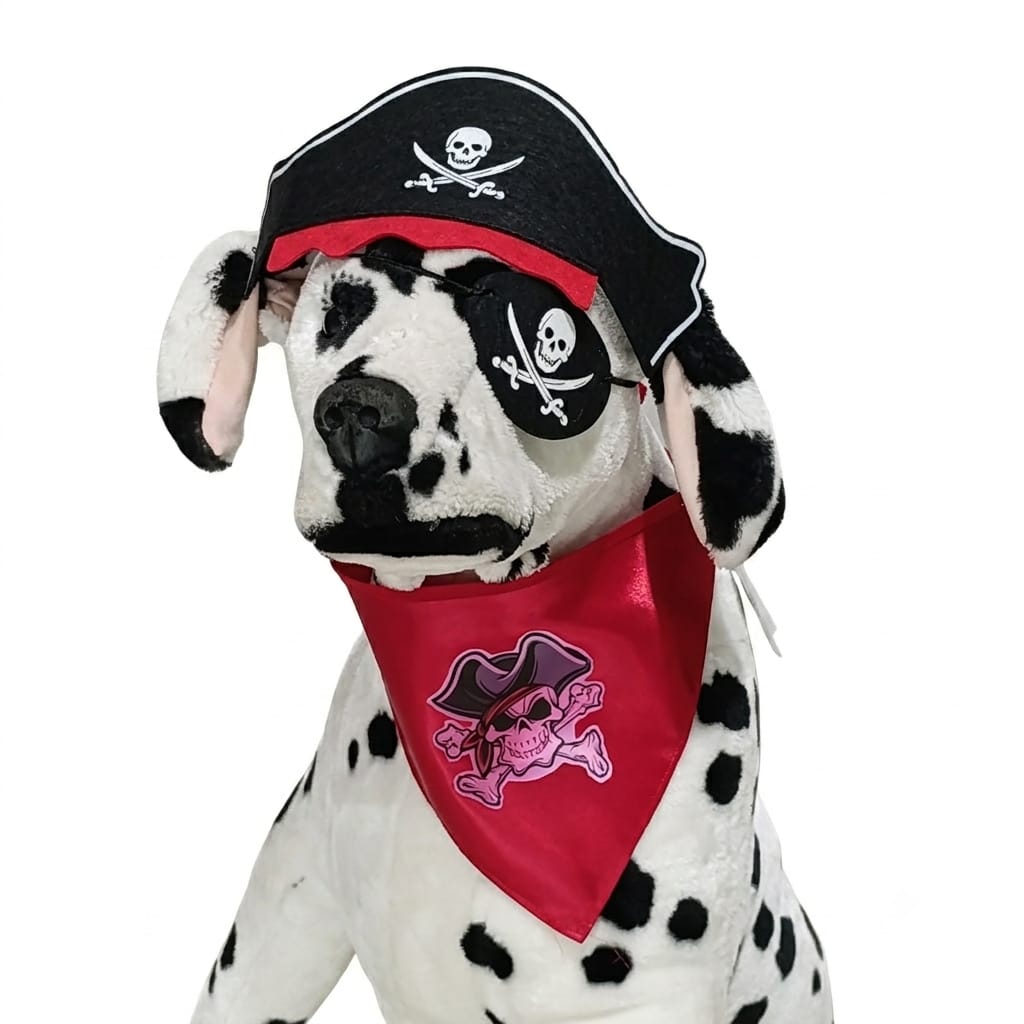 Disfraz de Pirata