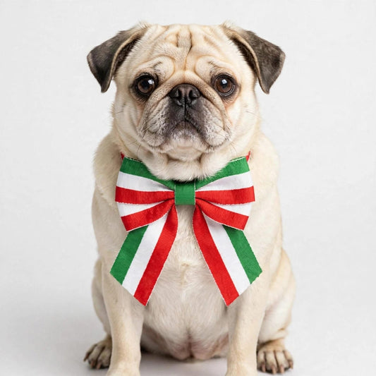 Corbata tricolor para mascota